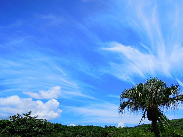 鵝鸞鼻天空美麗的雲.jpg