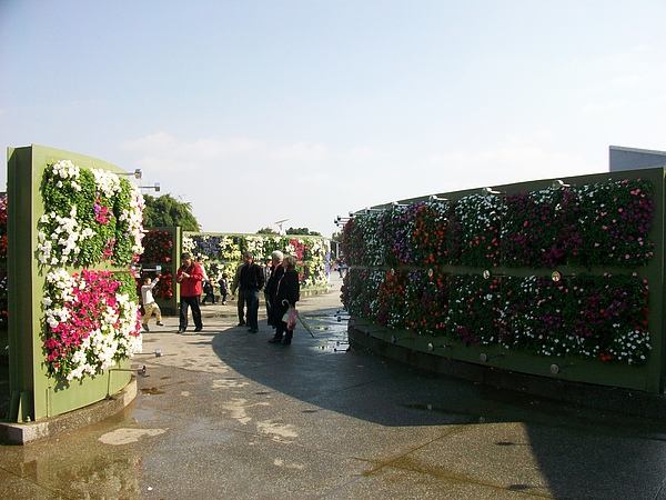 造型花牆及美麗花圃.jpg