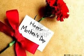 康乃馨-母親節快樂.jpg 康乃馨-母親節快樂.jpg