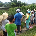 SAM_7035 SAM_7035
