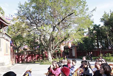 _MG_2121 _MG_2121