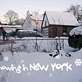 SNOWIN NEWYORK/DSCN0323