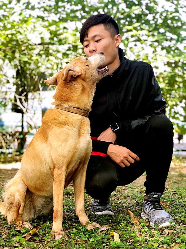 動物訓練師 助浪浪找到家 恮欣科技 痞客邦