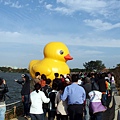 PA270233.JPG