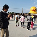 PA270251.JPG