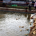 PA270261.JPG