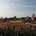 IMG_1629.JPG