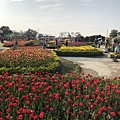 IMG_1640.JPG
