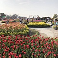 IMG_1646.JPG
