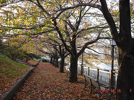 2010. 東京荒川