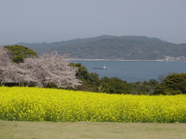 能古島的公園