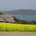 能古島的公園