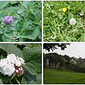 台東原生植物園