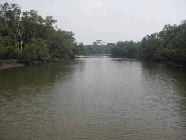 新加坡 Sungei Buloh 2009