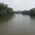 新加坡 Sungei Buloh 2009