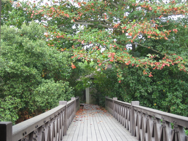 新加坡 Sungei Buloh 2009