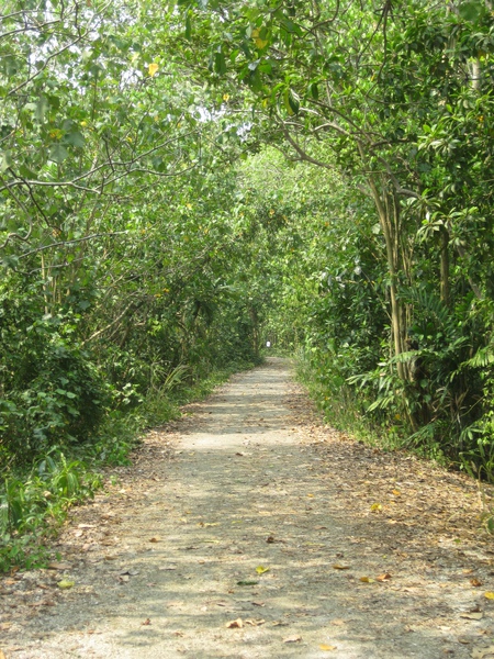 新加坡 Sungei Buloh 2009