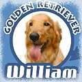 willam logo照片