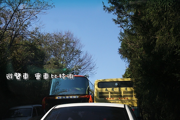 清境合歡山之旅 007.jpg