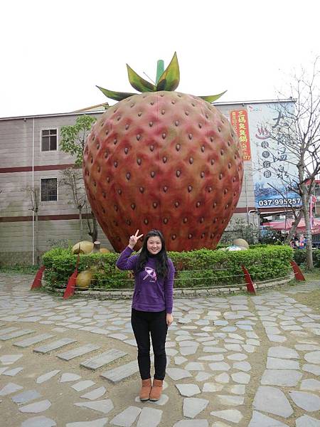 IMG_5658.JPG1979153720