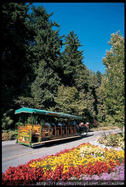 059_-_Stanley_Park_Horse_Drawn_Tours.jpg