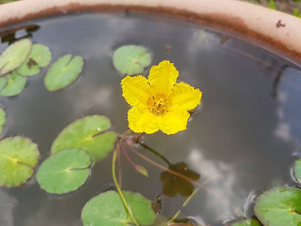 20180402_104148.jpg 20180402_104148.jpg