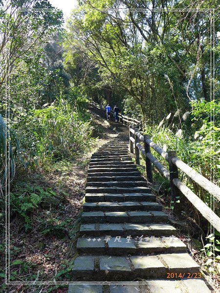 大山背大崎棟步道 大山背大崎棟步道