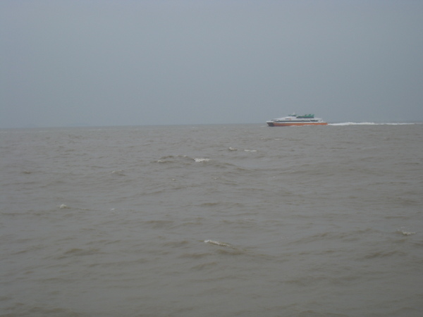 IMG_4805.JPG