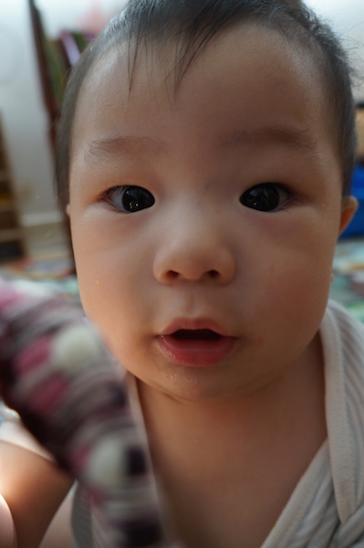 DSC04949.JPG DSC04949.JPG