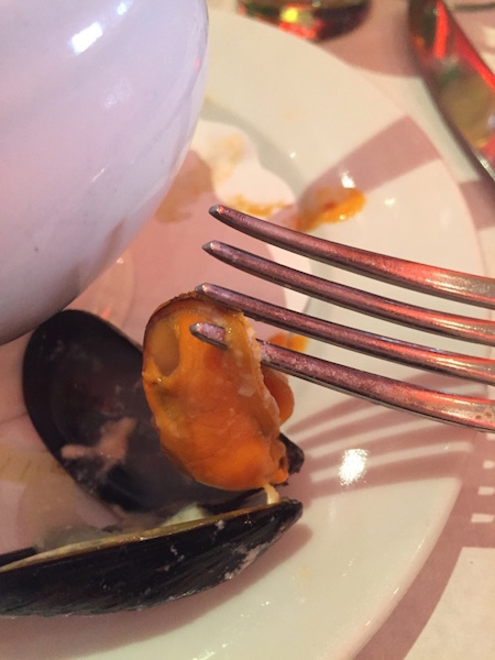 thumb_IMG_5820_1024.jpg thumb_IMG_5820_1024.jpg