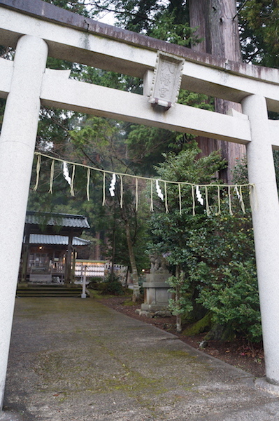 DSC08325.JPG DSC08325.JPG