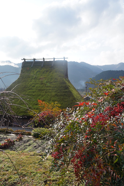 DSC08377.JPG DSC08377.JPG