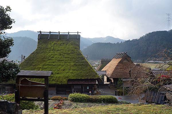 DSC08378.JPG DSC08378.JPG