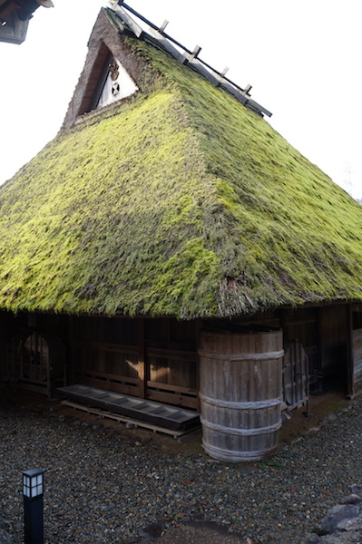 DSC08391.JPG DSC08391.JPG