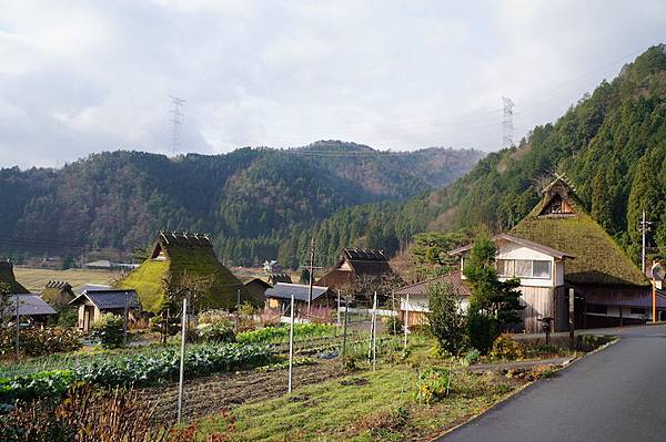 DSC08396.JPG DSC08396.JPG