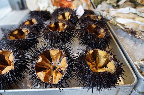 DSC00354.JPG DSC00354.JPG