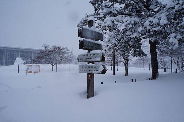 DSC02029.JPG DSC02029.JPG