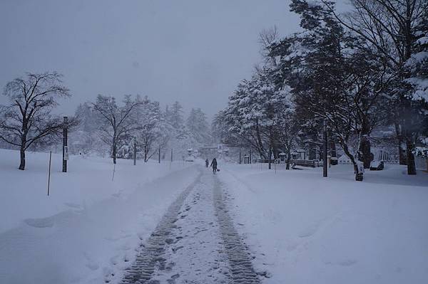 DSC02030.JPG DSC02030.JPG