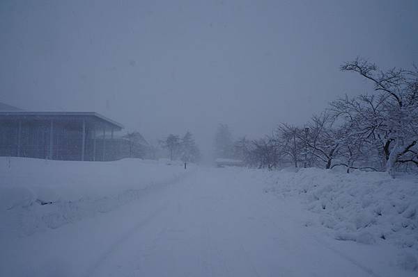 DSC02042.JPG DSC02042.JPG