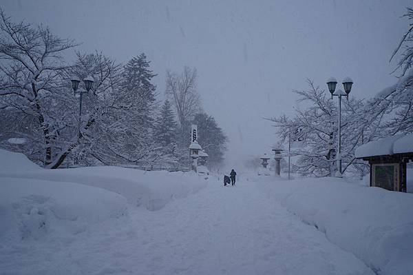 DSC02050.JPG DSC02050.JPG