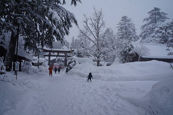 DSC02060.JPG DSC02060.JPG