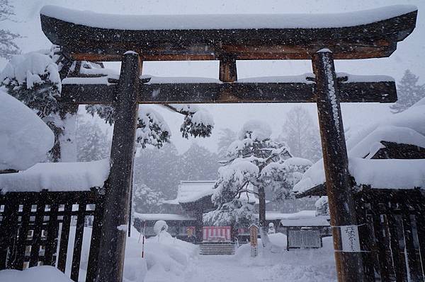 DSC02074.JPG DSC02074.JPG