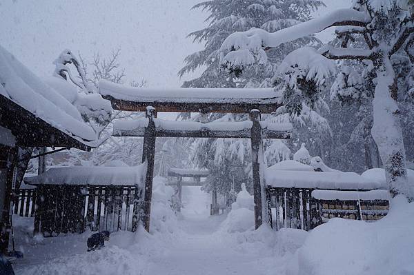 DSC02083.JPG DSC02083.JPG