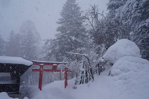 DSC02088.JPG DSC02088.JPG