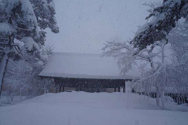 DSC02091.JPG DSC02091.JPG