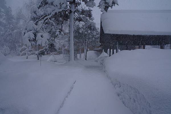 DSC02093.JPG DSC02093.JPG