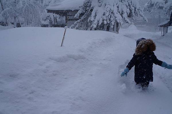 DSC02095.JPG DSC02095.JPG