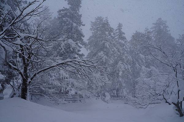 DSC02099.JPG DSC02099.JPG