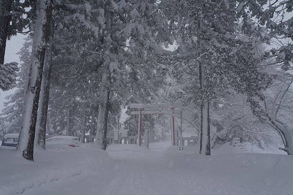 DSC02104.JPG DSC02104.JPG