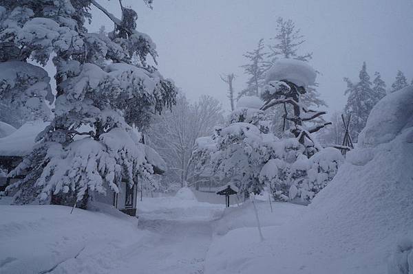 DSC02113.JPG DSC02113.JPG